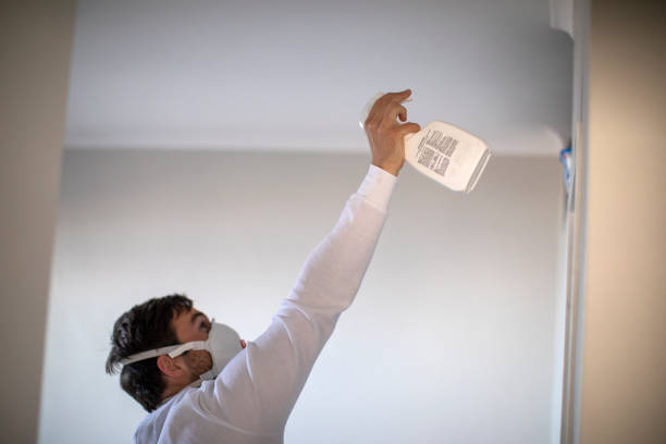 Best Mold Removal Company Near Me  in Wadesboro, NC