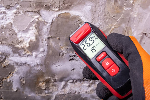 Best Local Mold Removal Service  in Wadesboro, NC